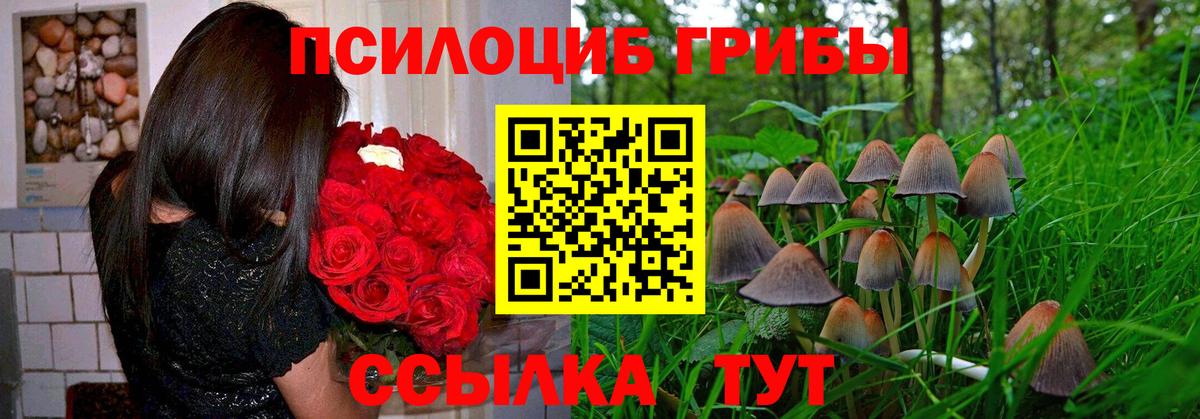 Галлюциногенные грибы GOLDEN TEACHER  Псилоцибиновые грибы Psilocybine cubensis  Иваново  Вход с VPN 