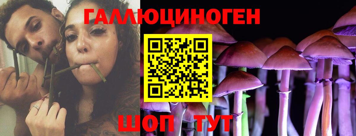 Галлюциногенные грибы Psilocybine cubensis Иваново